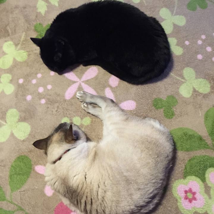 877aff0a 5a58 46e4 b39f 6305a7b22b72