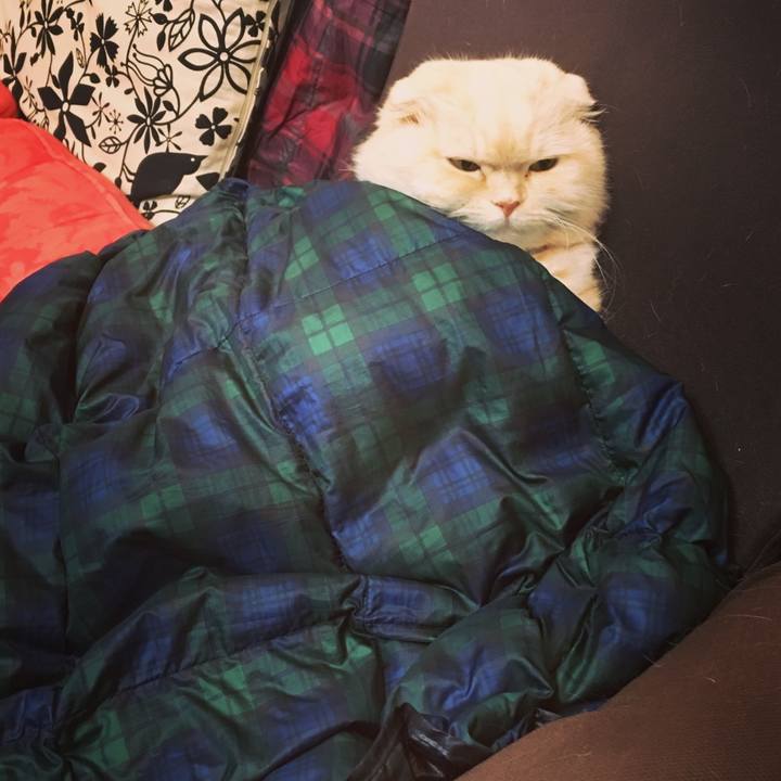 877b190f a699 4d13 8d7e 784cf897e655