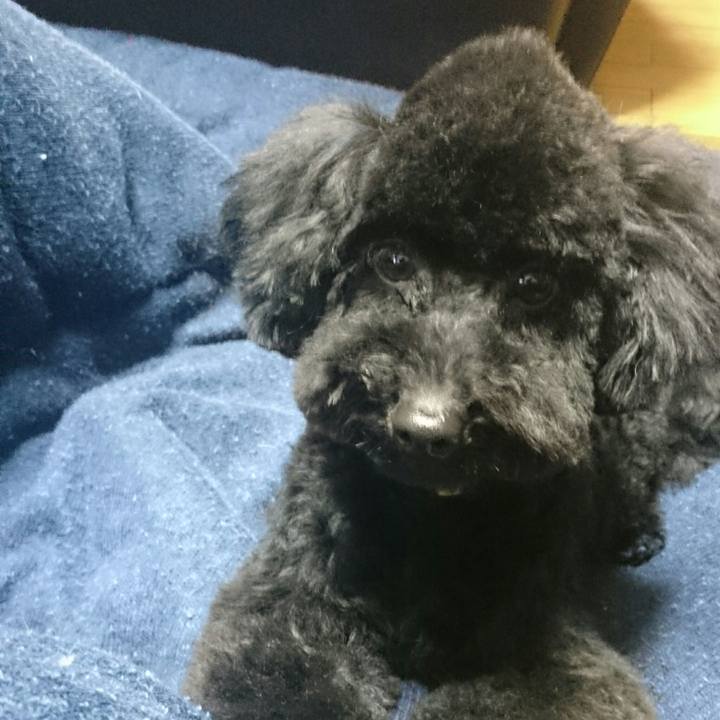 877b623c 6ce3 485a 9d85 10c3bd3a306e