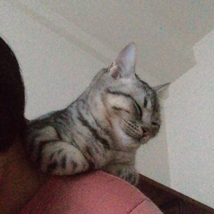 877b8531 ae36 4ae4 9e87 9b839a37fcd1