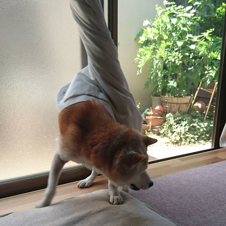 877c5ac7 cf96 4f68 bb74 1858bd86b9c2