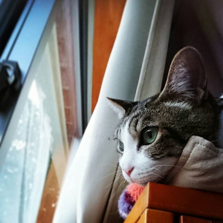 877cad70 9a13 45e1 996d d2644b340321