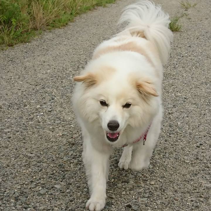 877d24c1 92fc 4720 a87a 19b68496ab00