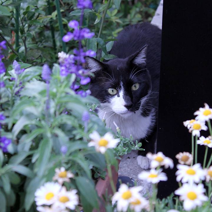 877d6b1f 5643 4d8e 9b8c 50be799f485a