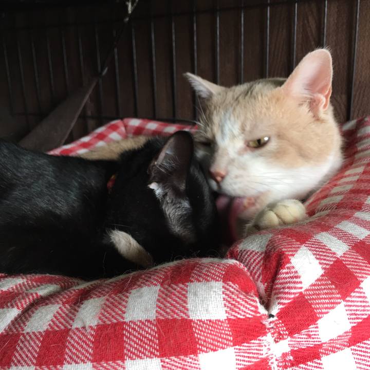 877db532 e905 430c 8132 71f922ba1223