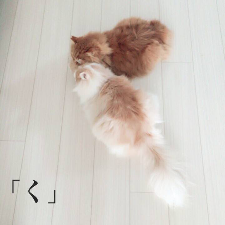 877dcd14 823c 42ab a55b 08565b076081