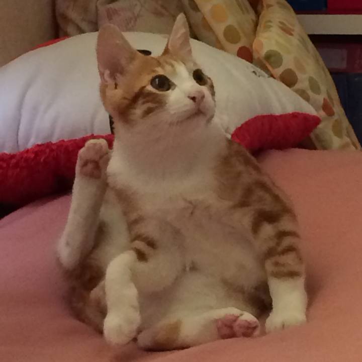 877e472c 1ea7 42e2 9789 55a5d1e6784c