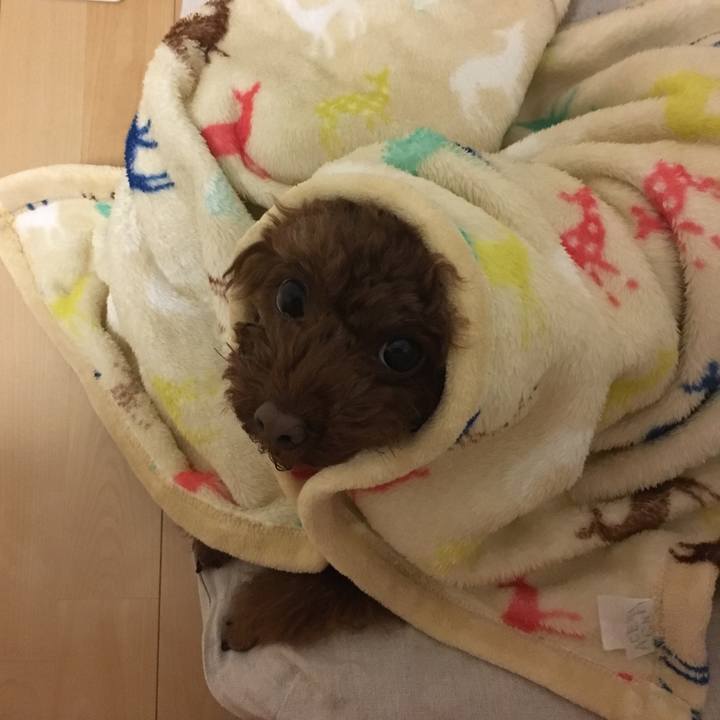 877e6230 5326 4841 a185 662aa971c4dd