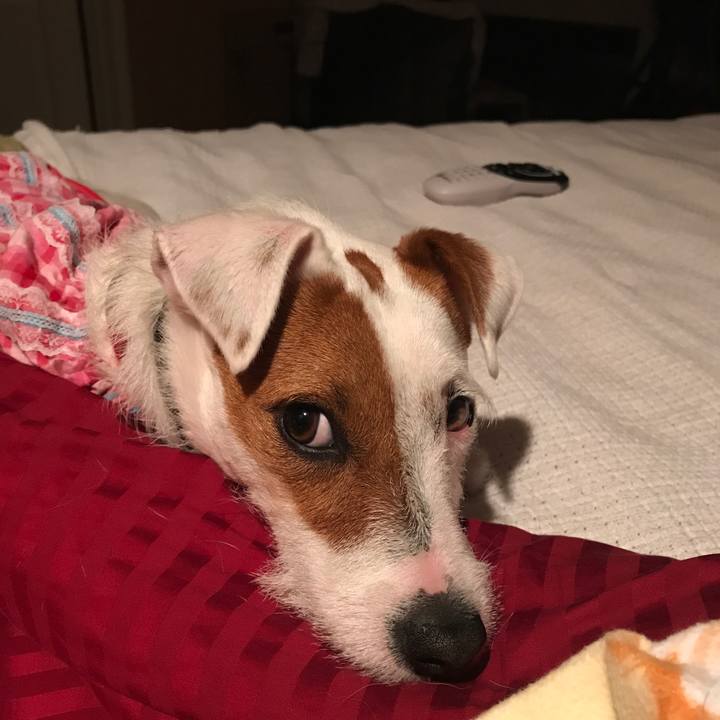 877ef090 61fa 45bd a2ba 39dba2a41697