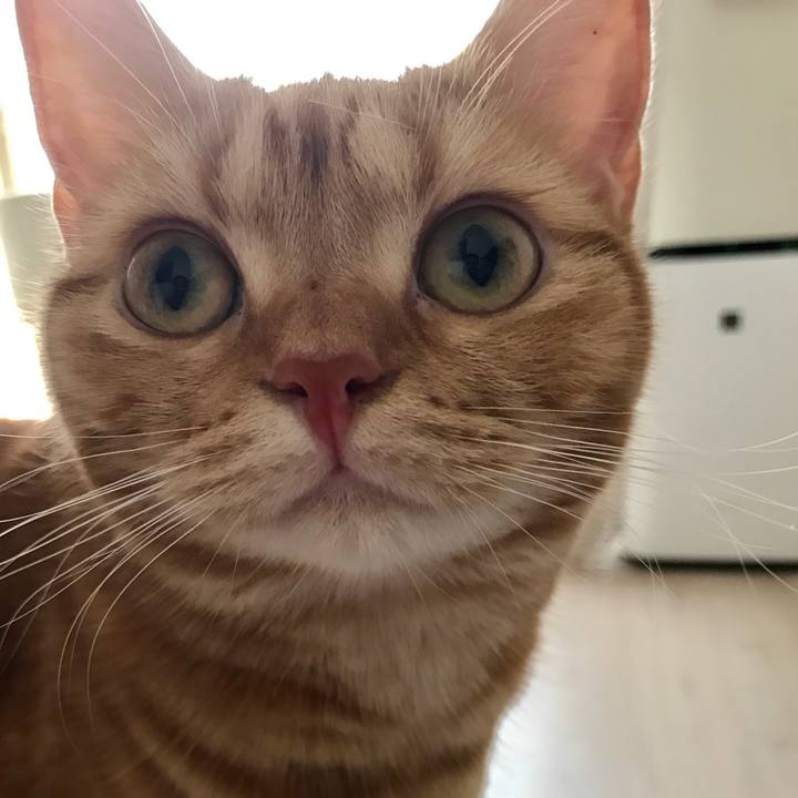 877f01d6 9158 4cc2 951e c8a1f1f71767