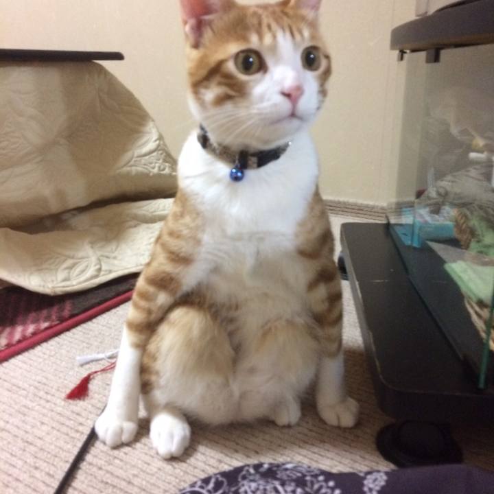 877f7660 8a19 4e2e 8880 5e776bb5777d