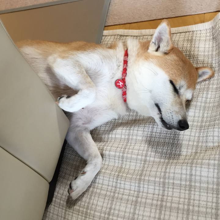 877fb32b 5ec2 4a14 b5bf d78b1e3eca33