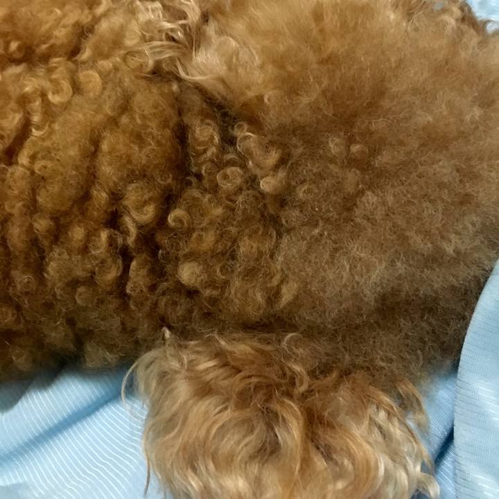 877fdb75 b36c 47dd 9666 7aa87dd86f89