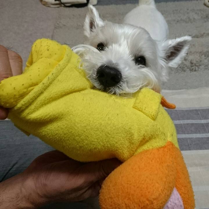 877fff31 a5e6 471d 9944 6551443aadd6