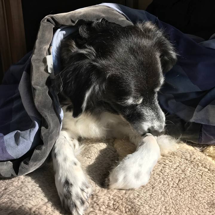 87802247 29d0 4bc1 a592 23ea2da85270