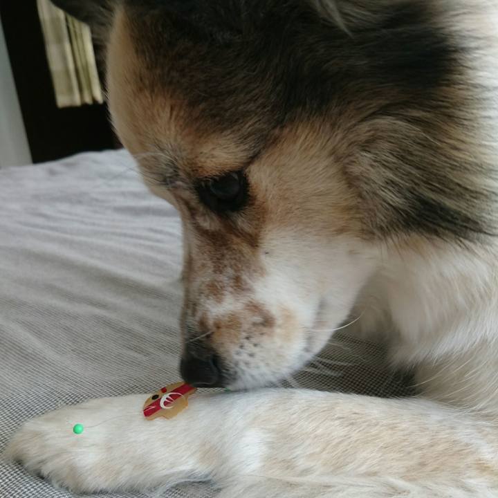 87806a21 19c4 4629 883b 26bfaee27e8b