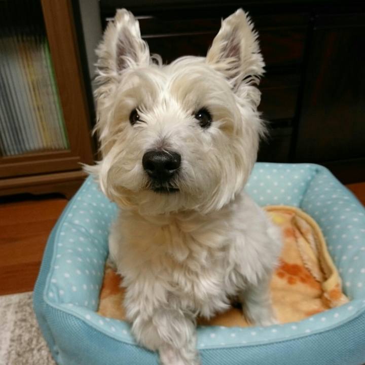 87813d12 0e53 4755 a7c2 fb51775cdc60