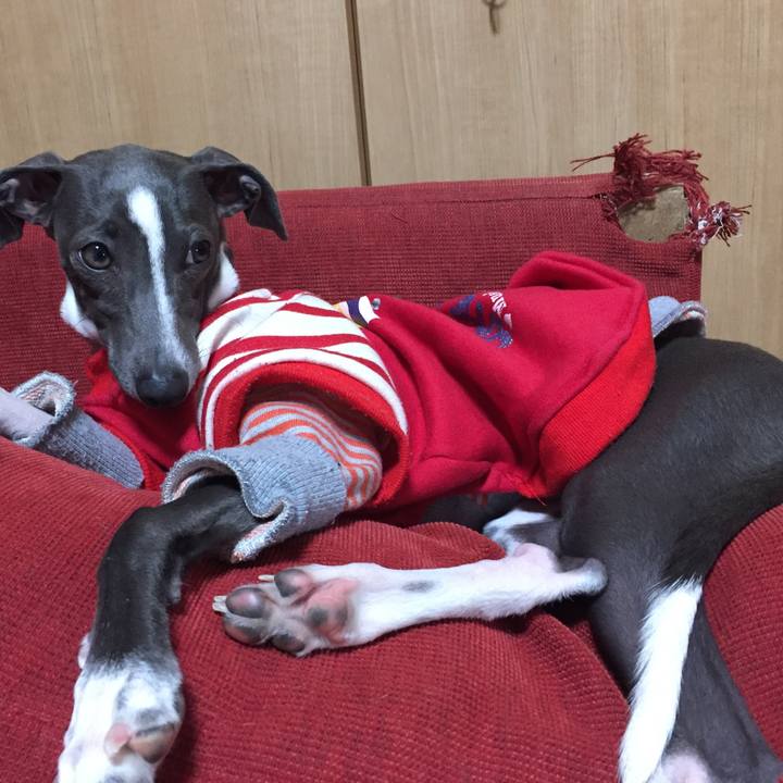 87816183 803a 4abd b617 f35bacee523c