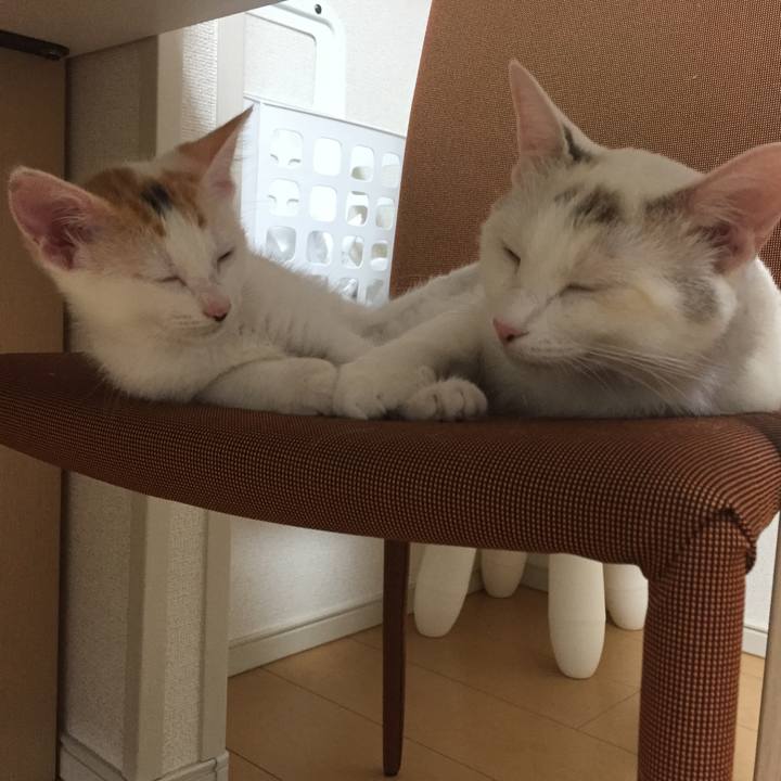 87818951 b317 4f27 b44a 0fe190a19ca5