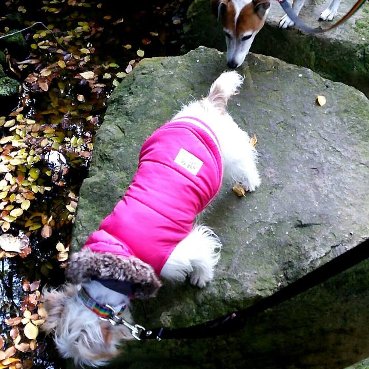 8782420f 620b 497f b232 5c90be798433