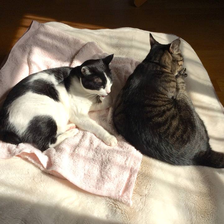 8783600d 2371 449b b4e3 3de366d0f90a