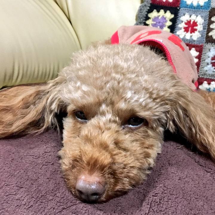 87837842 9644 493f acd3 63bb4babea4e