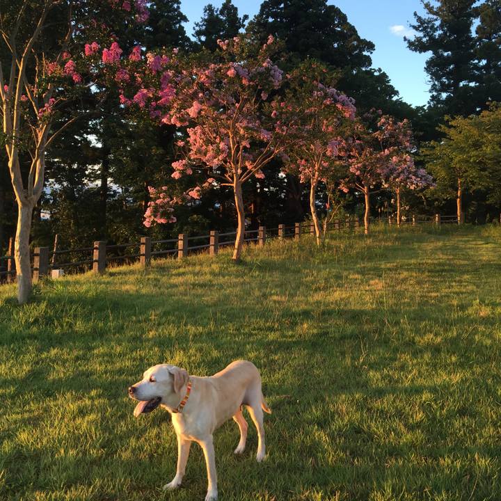 8783a19d e587 4249 8df4 8c4b443f01c4