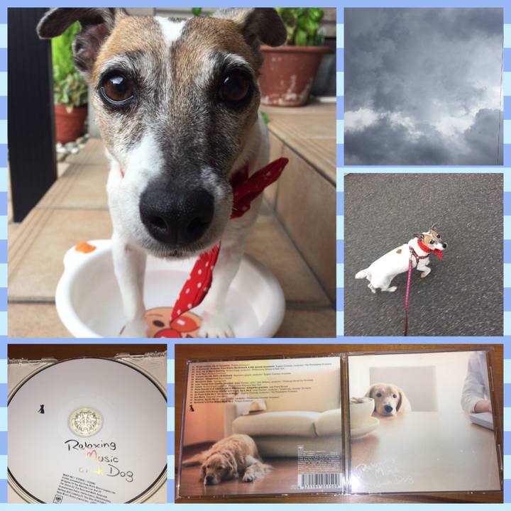 8783b4cf 671c 4538 bd53 319a863a0fba