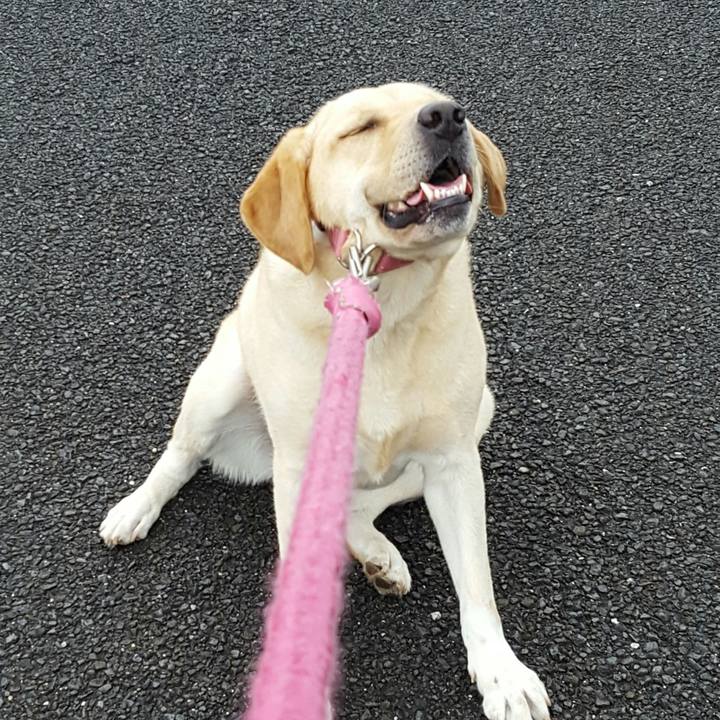 8783b618 3aa4 4db9 8a1a aea3b64bef29