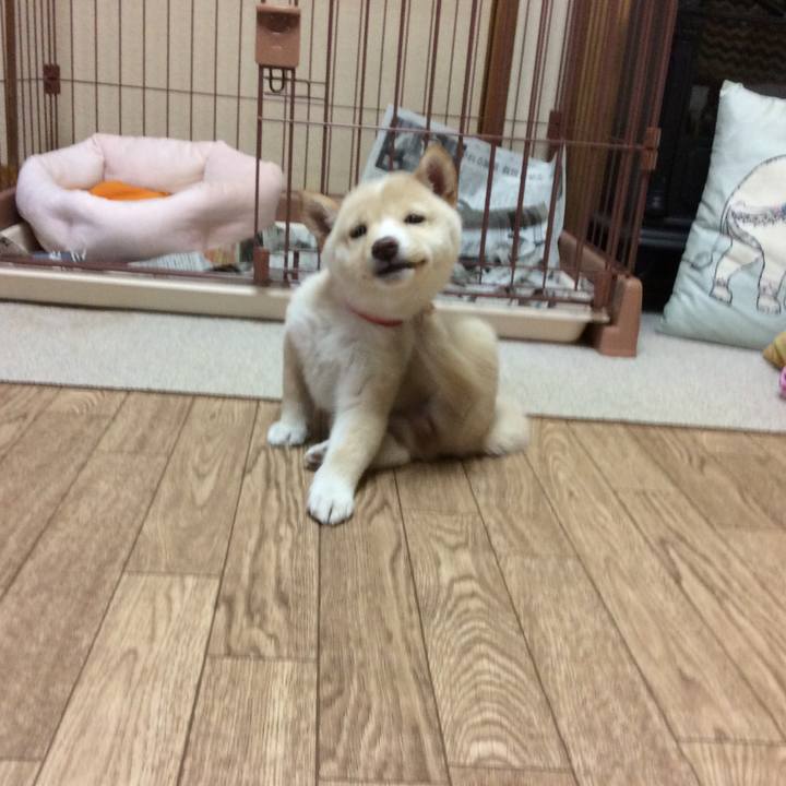 8783ead4 fbd3 4a21 aa11 24ceee550cd5