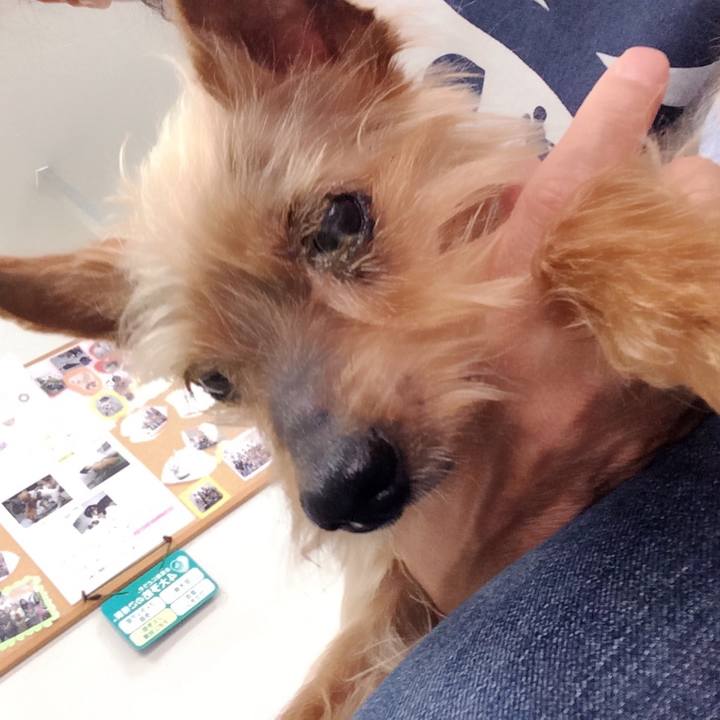 87850417 12fa 4709 8fc7 e892826fca26