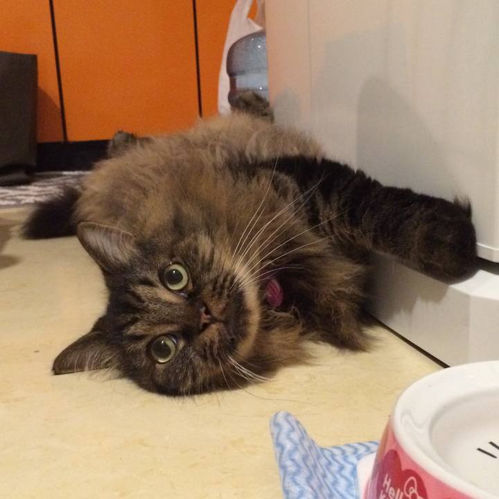 878529f7 c919 4510 bf83 bb936da5dcbf