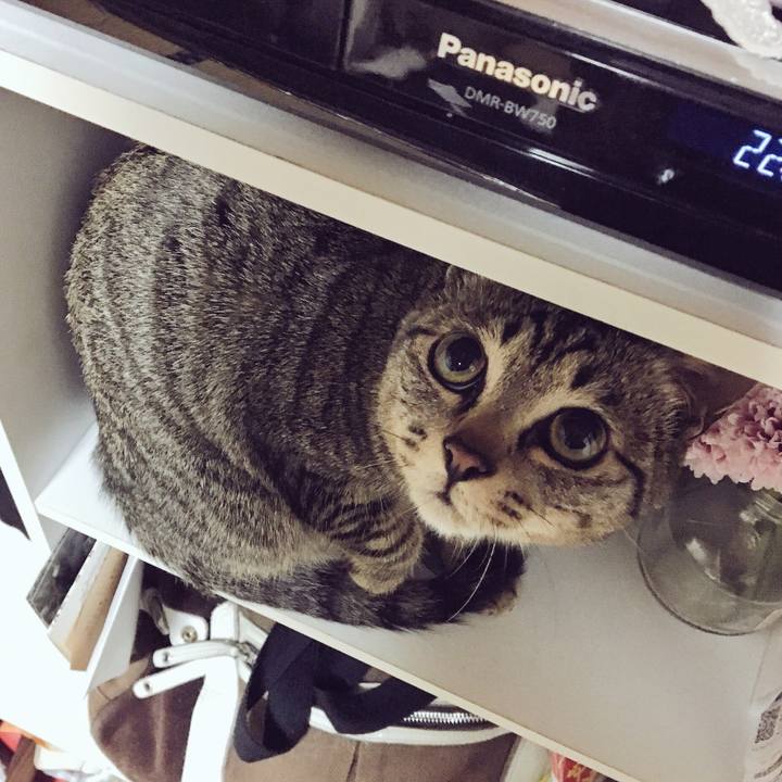 8785804b 9d82 443c 8407 c062489f3717