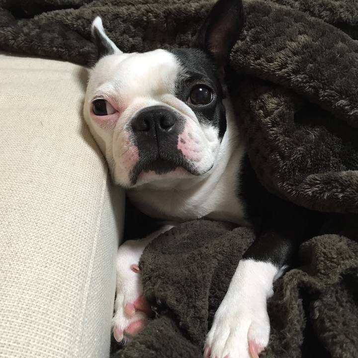 878582d5 055c 449c 9c42 bf6b0c0065c6