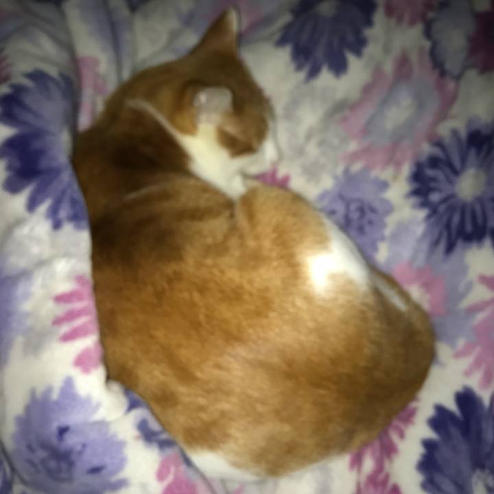 8785a38a 0d3e 4463 bfd3 b1ef75e9c230