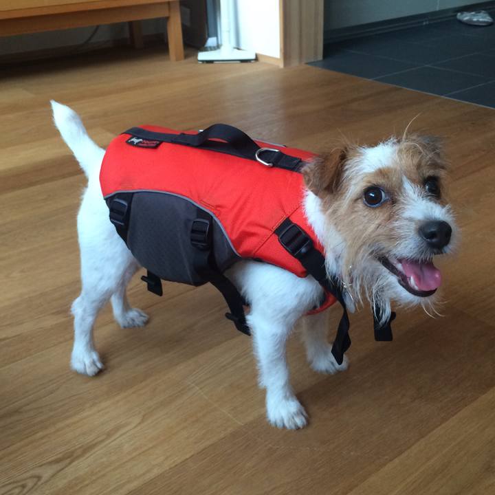 8785c110 f847 4967 818e b1df66a2e807