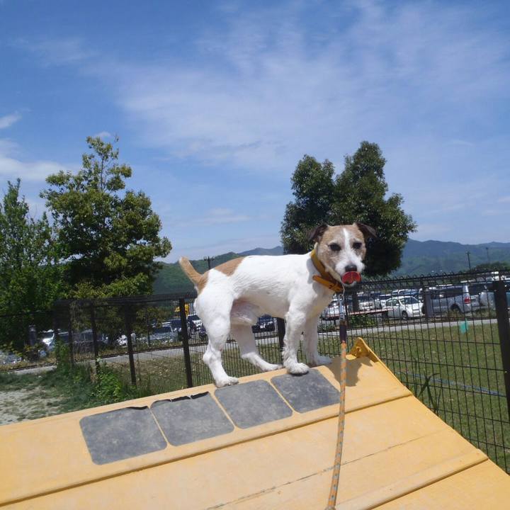 878661fe 1f78 4a64 95fe 4f7851fe1673