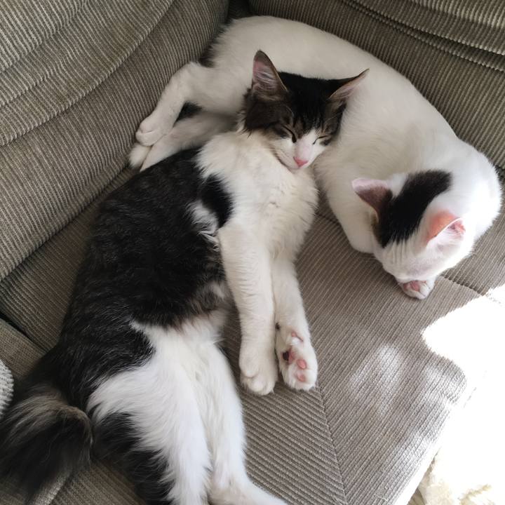 87888641 d38f 4263 8c90 52828fa91751