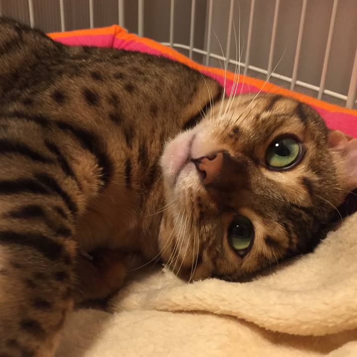 87893863 feb4 4644 9b8a 28d3f6657c6f