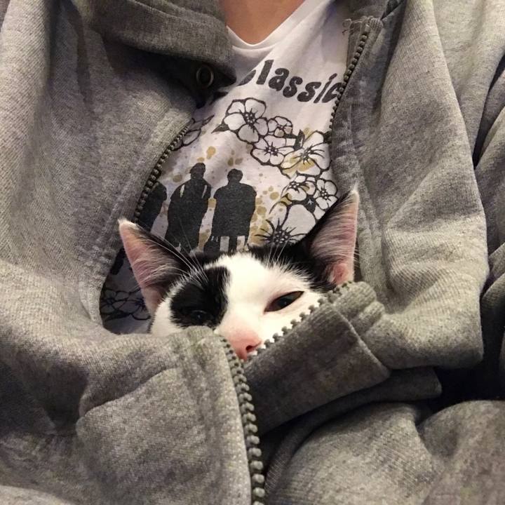 878a1681 1de1 45cb 83cf 85b21b5ac233