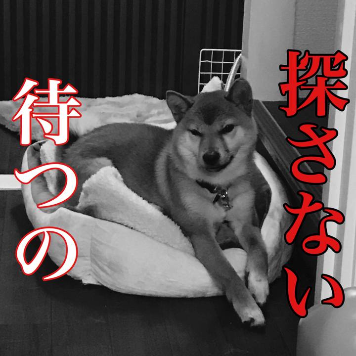 878a46e7 6c5c 43c1 8a68 d1af1b3da786