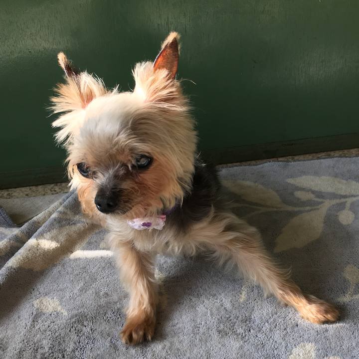 878ae467 e391 42a6 aade 12aca76d9cc4