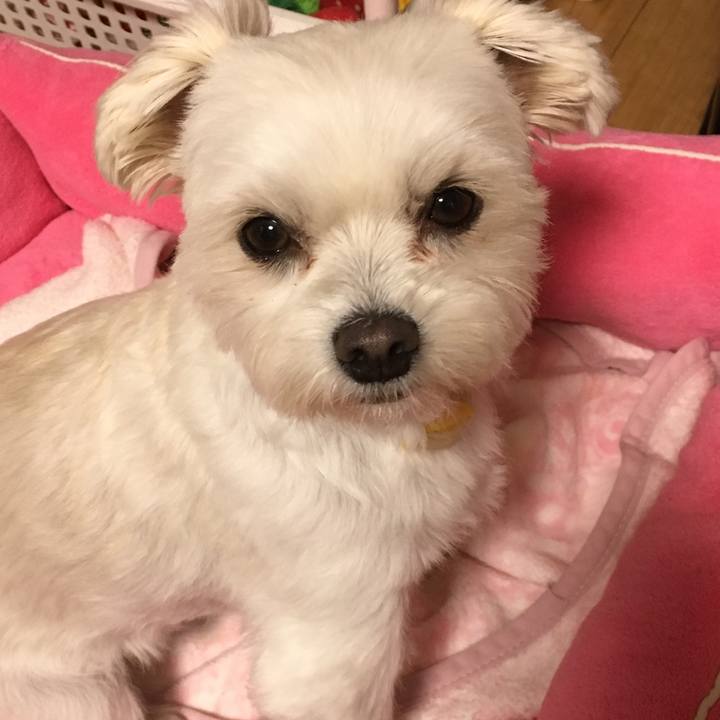 878afe59 adc6 46a2 bbde 60768b6eb7a2