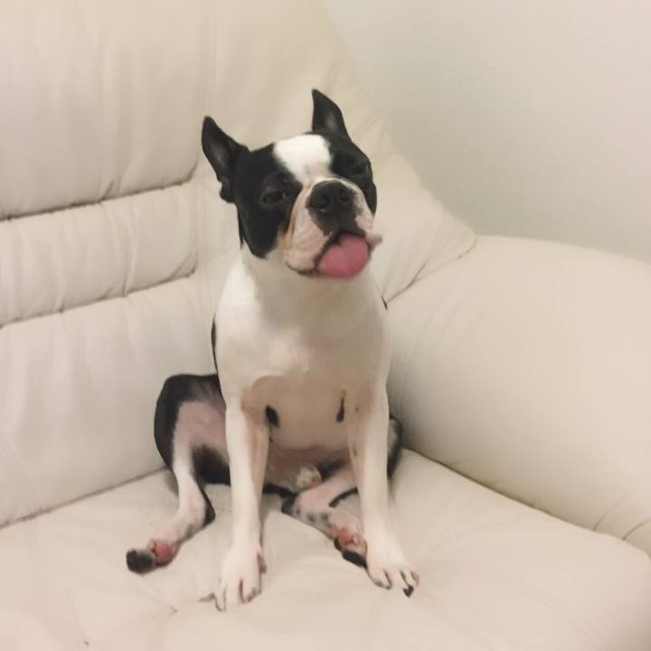 878b31fc c916 4b38 bfb9 d0bdd007904c