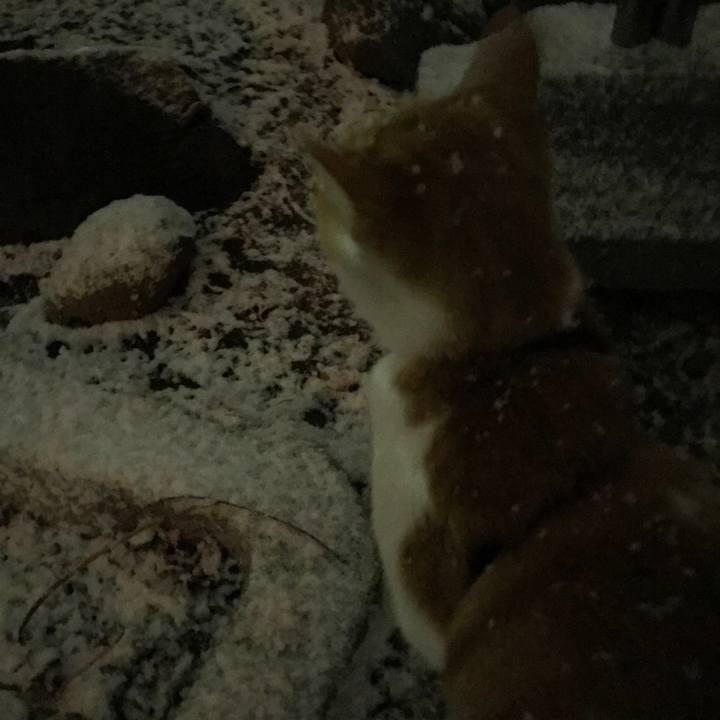 878b56c9 8836 4301 b58f b2d5de6e2cb5