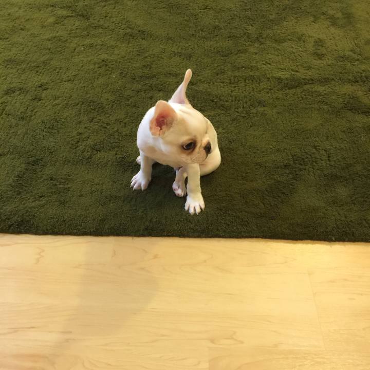 878bfff9 b972 44bb 886d 8e12a9df997d