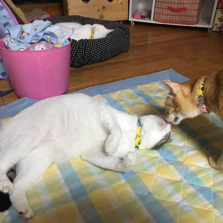 878c2cda 39e5 4f9c 8a91 11b2e0937bbd