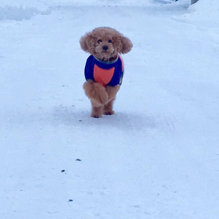 878d0eae a666 470e bdb0 9334b3cec60e