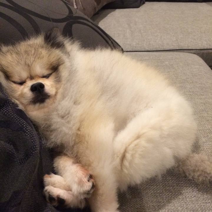 878e7808 909e 4b0b aa5d f8921c8364d0