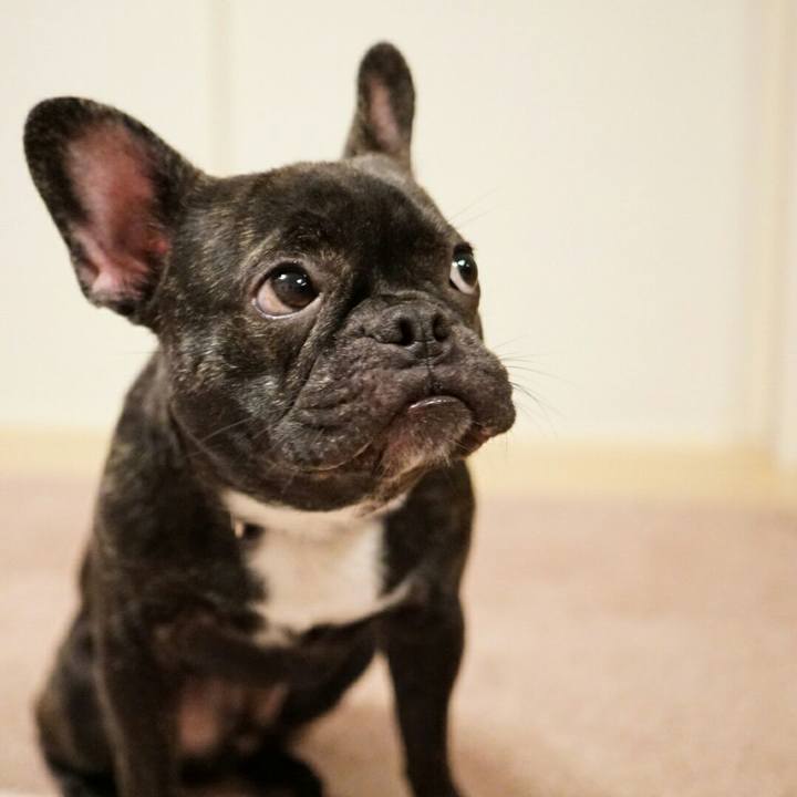 878ecae9 cbc7 44af 9f9f 30839821836c